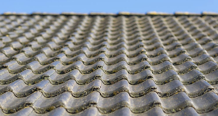Concrete Ridge Tile Roofing Arcadia